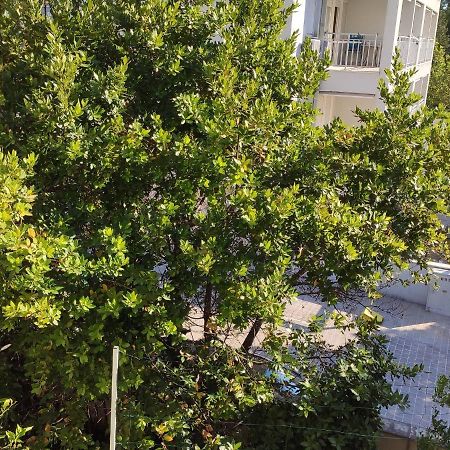 Apartments Ivo Makarska Ngoại thất bức ảnh