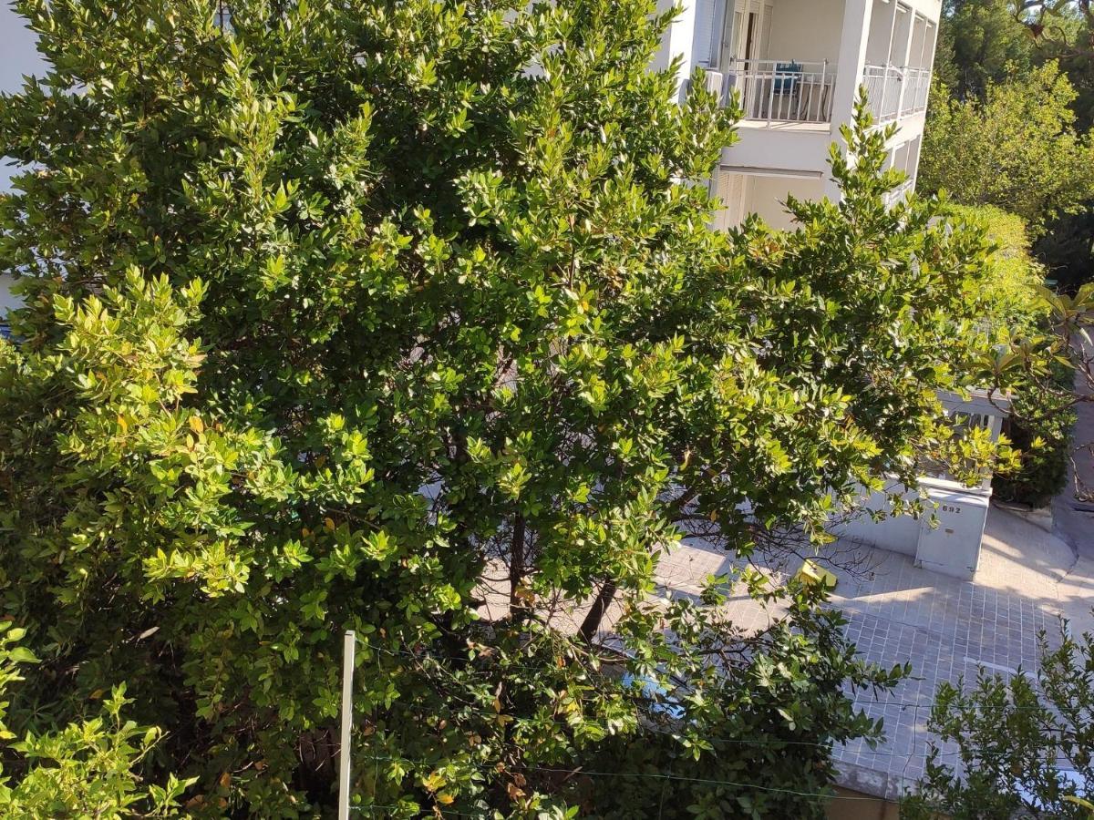 Apartments Ivo Makarska Ngoại thất bức ảnh